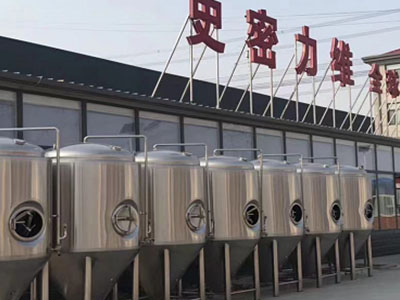 平凉精酿啤酒设备厂—市场规模与跨界新需求